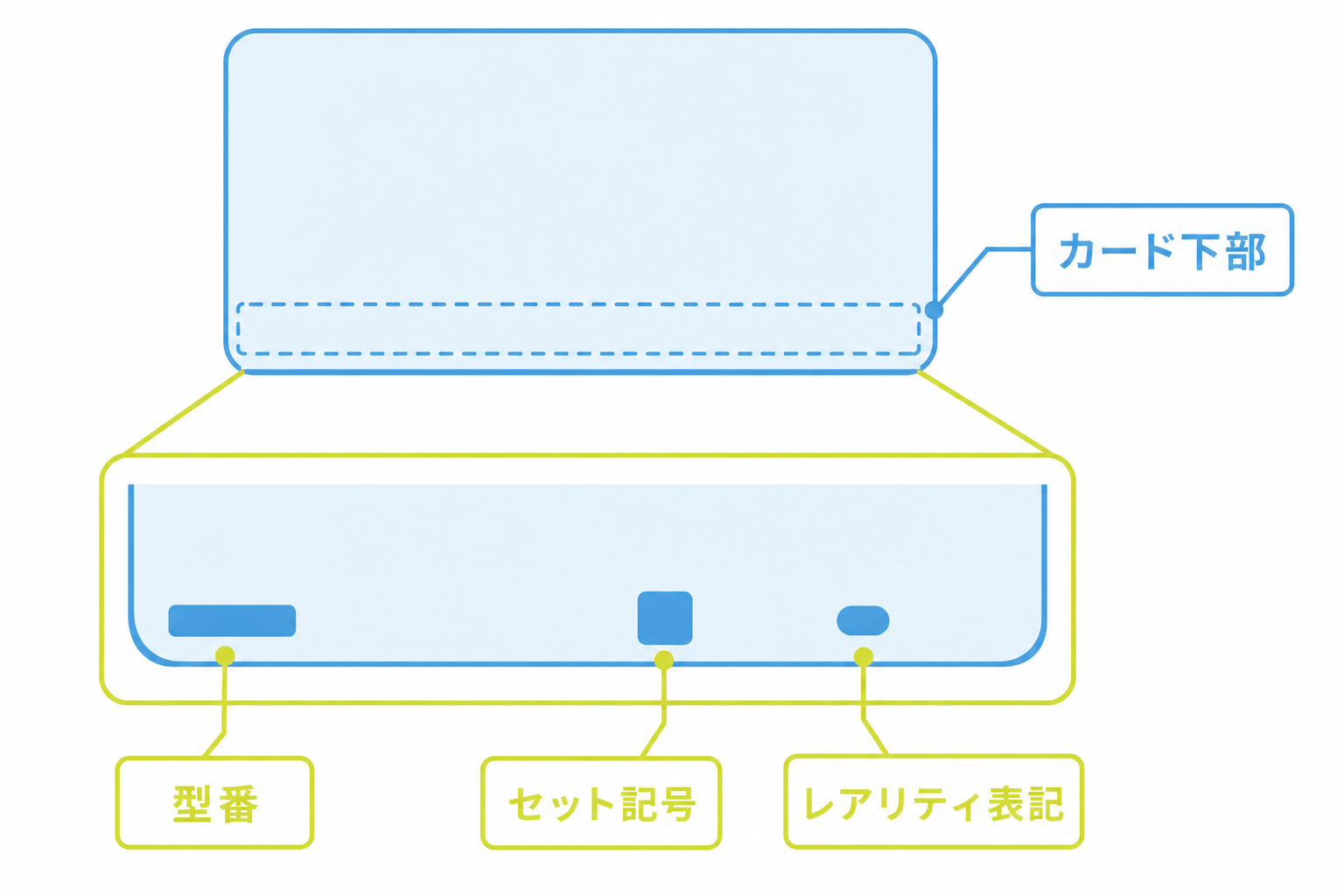 図: カード下部の型番・セット記号・レアリティ表記が記載されている位置を示した図解