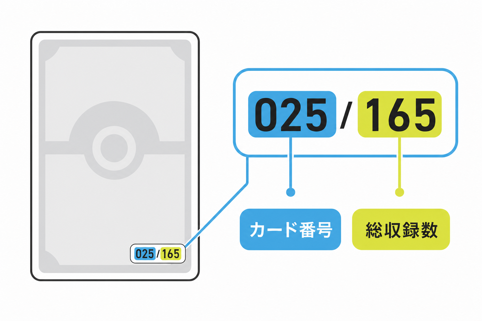 図: カード下部に書かれた型番025/165の読み方を示した図